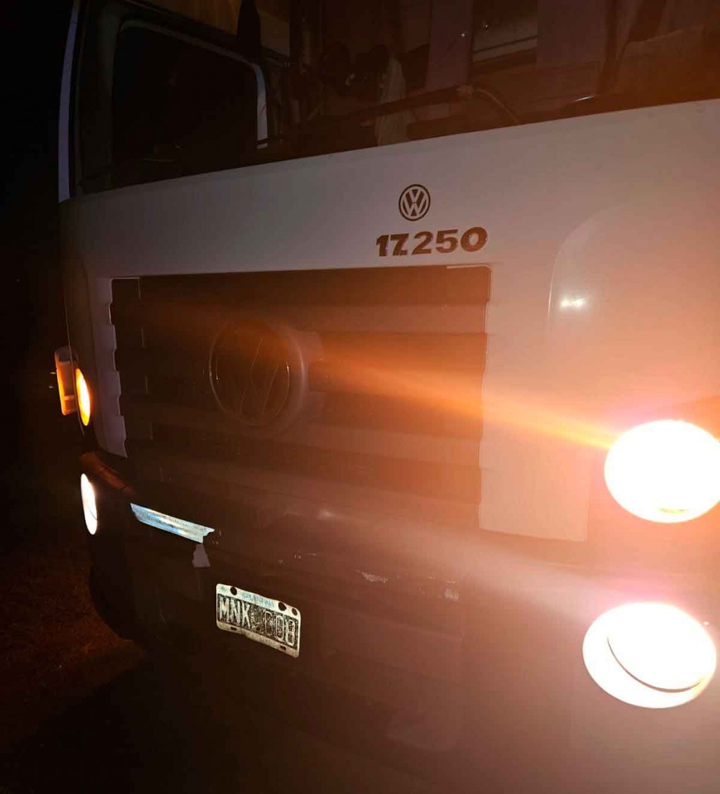 Esta madrugada: Un camionero se encontró con varios caballos sobre la ruta, y a pesar de su maniobra evasiva impactó con uno de ellos