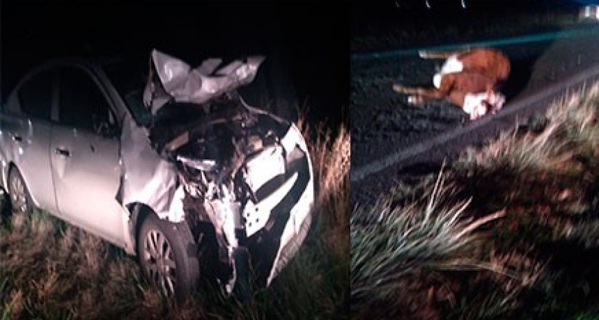 Daños importantes en un vehículo tras impactar con un animal vacuno, no hubo heridos