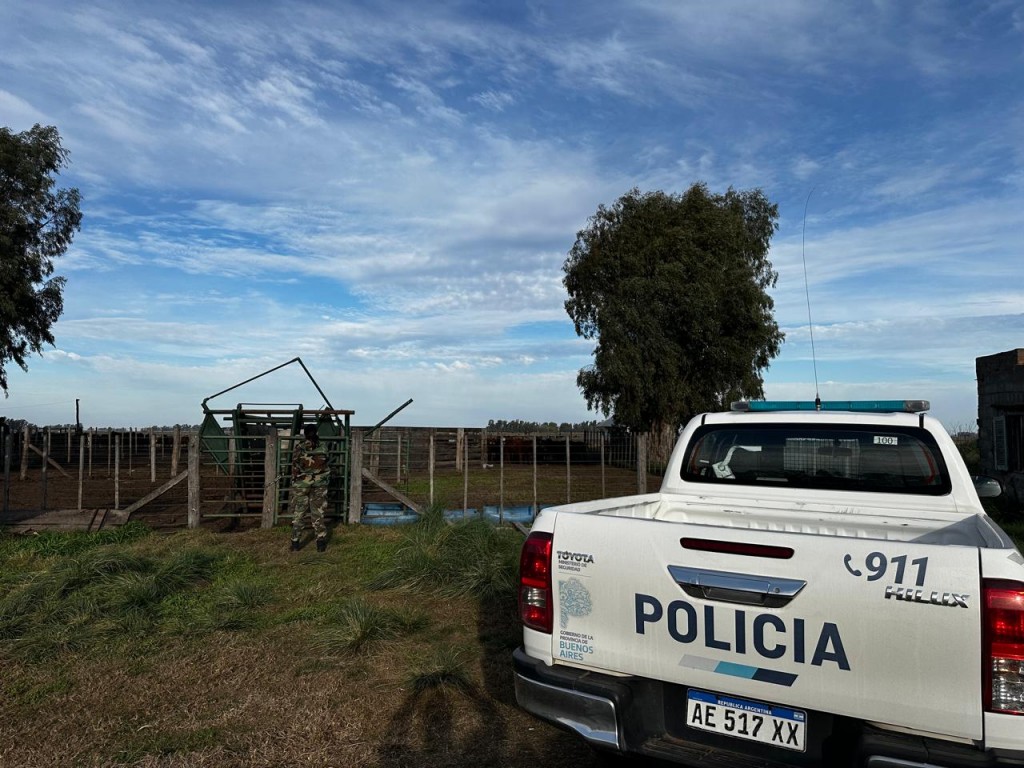 Informe Oficial Comando de Prevención Rural Bolívar: Se lograron recuperar 12 animales vacunos que faltaban desde mayo