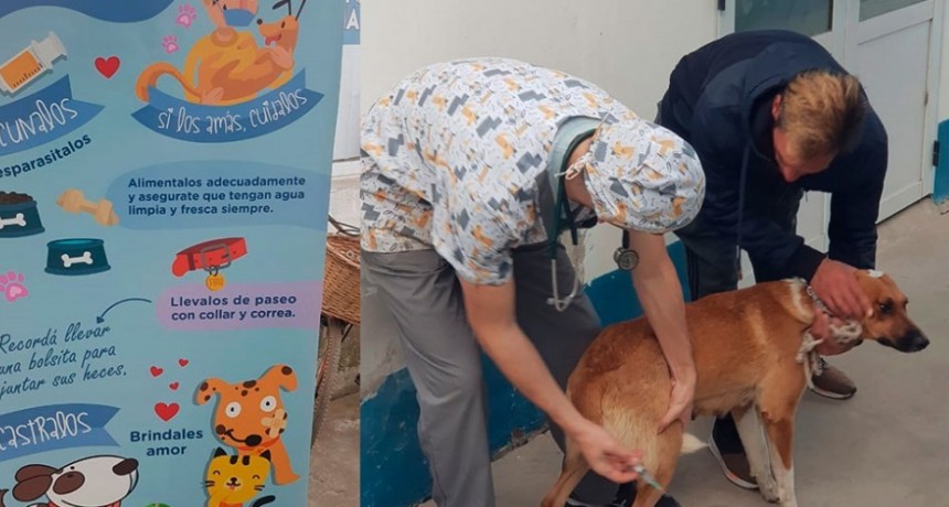 El Municipio y Sapaab realizarán una nueva jornada de castración masiva