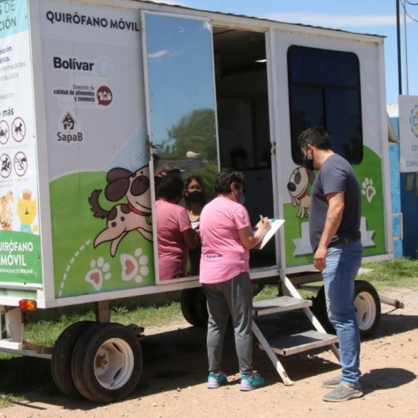 Se realizaron 96 castraciones en una nueva jornada masiva 