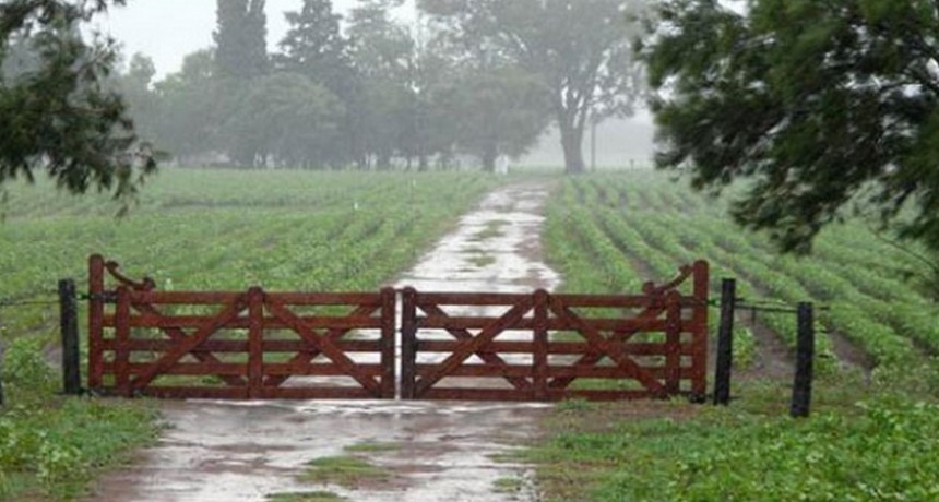 Lluvias dispares en toda la regi&oacute;n