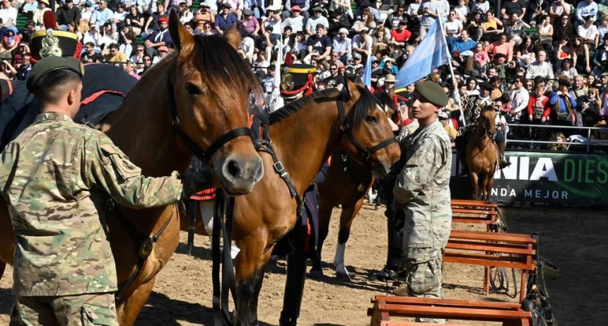 El Caballo Criollo, protagonista absoluto de Expo Rural 2024