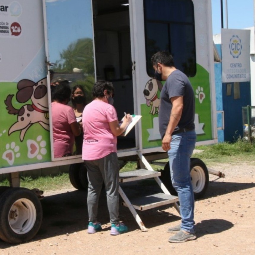 Reconocimiento para veterinarios/as en su día, desde el Municipio, gracias a su labor logró una cifra record de castraciones