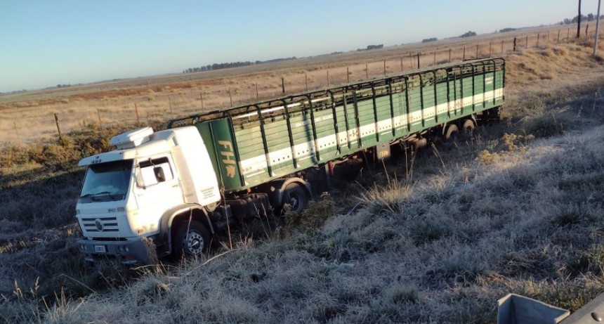 Se encajó un camión jaula esta mañana en rotonda 205 y 65