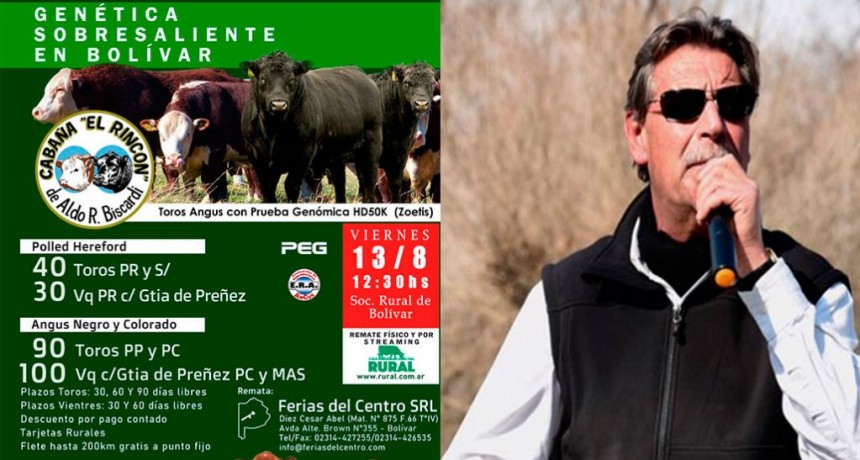 César Diez: “Las cabañas trabajan todo el año para presentar sus reproductores y esperar este remate”