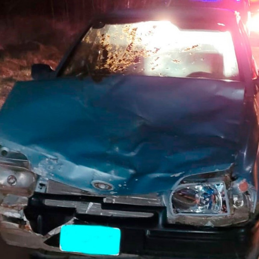 Un conductor colisionó contra un vacuno