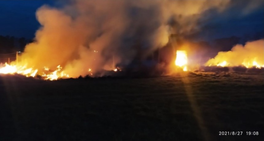 Bomberos extinguió un importante incendio forestal