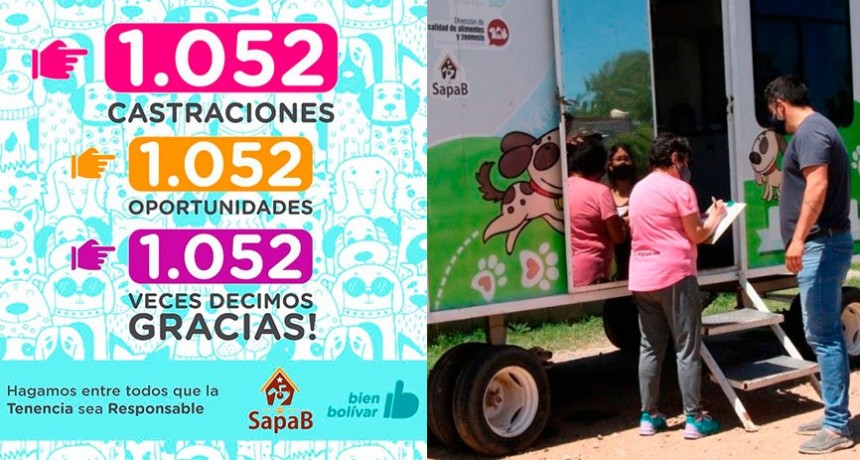 El Municipio y Sapaab realizaron 1.052 castraciones entre enero y julio de este a&ntilde;o