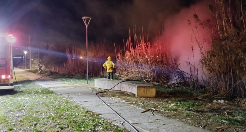 Bomberos Voluntarios extinguió un incendio forestal en avenidas 3 de Febrero y Juan Manuel de Rosas