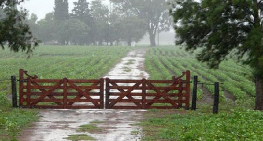 La última lluvia tuvo registros similares en todo el partido de Bolívar y alrededores