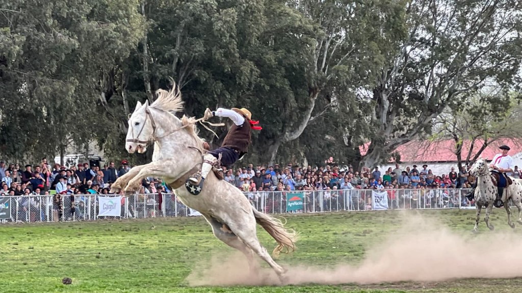 96ª Expo Bolívar: Más de 30 montas y tropillas de todo el país en la tradicional jineteada, con premios por 5 millones de pesos 