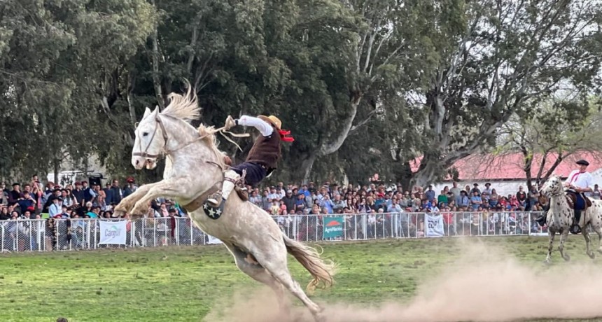 96ª Expo Bolívar: Más de 30 montas y tropillas de todo el país en la tradicional jineteada, con premios por 5 millones de pesos 