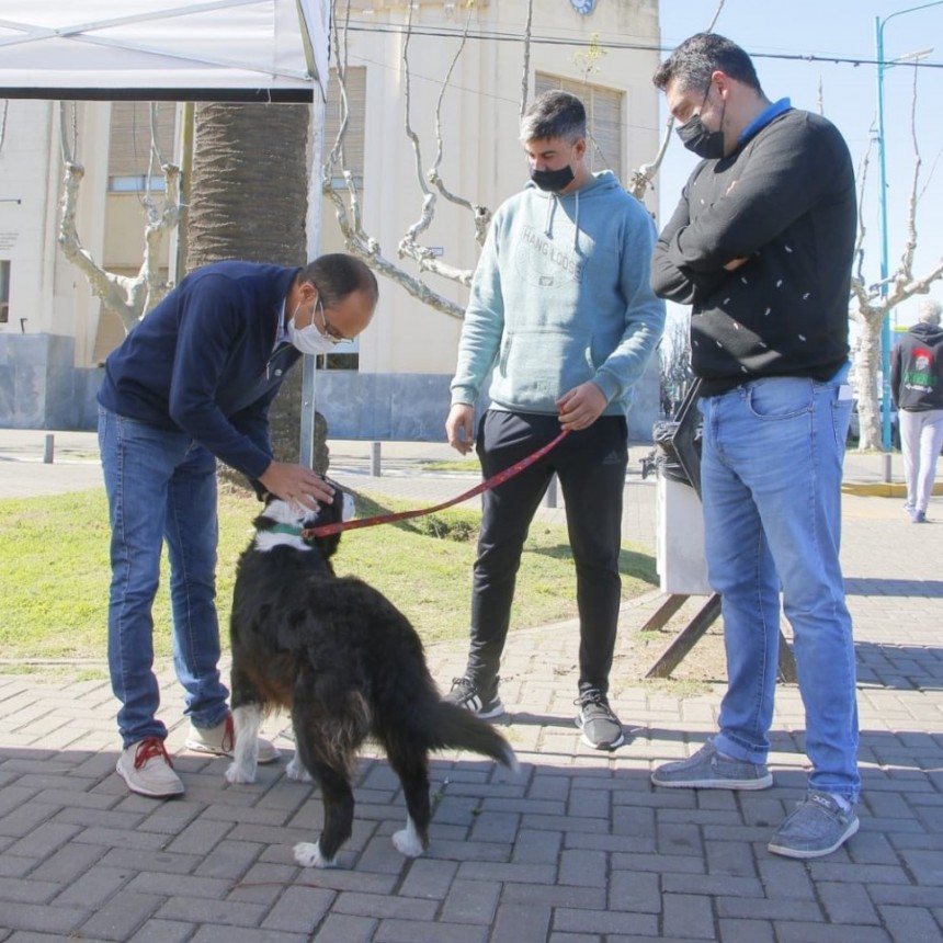 La Municipalidad desarrolló una jornada gratuita de vacunación antirrábica