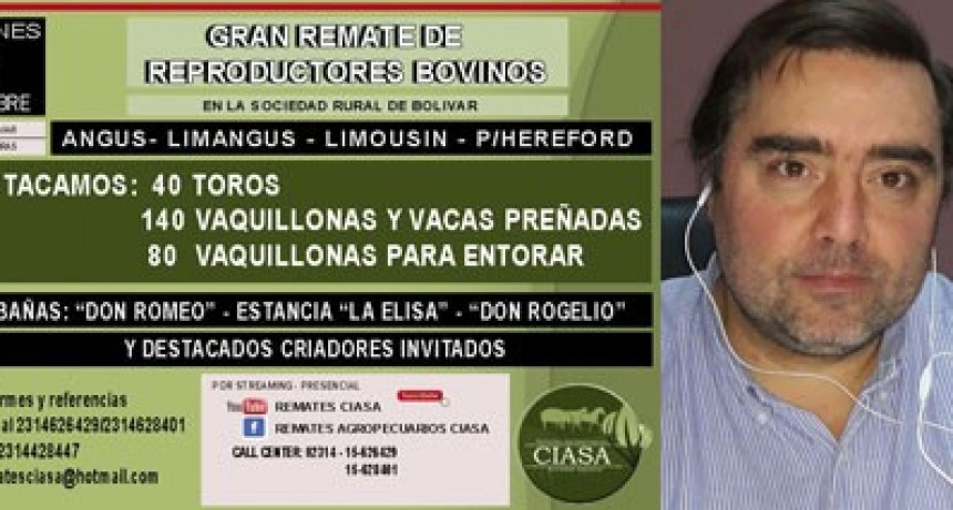 Gran Remate de Reproductores Bovinos