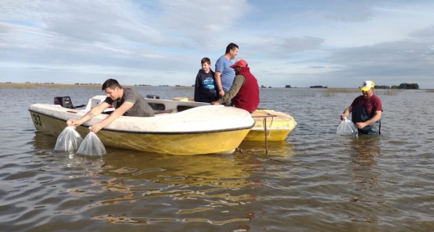 La Dirección de Producción sembró alevinos de pejerrey en la Laguna San Luis