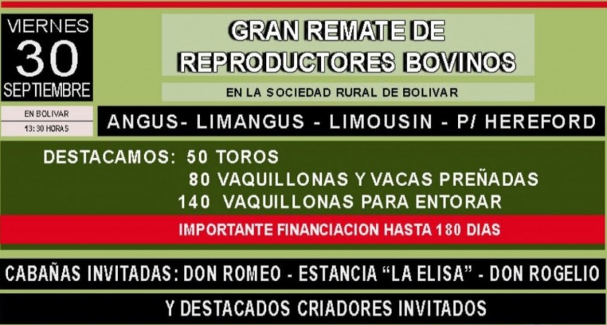 Este viernes se viene el remate de reproductores bovinos, en FM 10 hablamos con Mauricio Gourd&oacute;n de CIASA