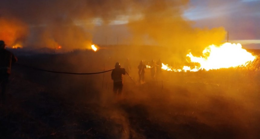 Bomberos Voluntarios de Urdampilleta acudieron para extinguir un incendio que se propagó en 20 hectáreas