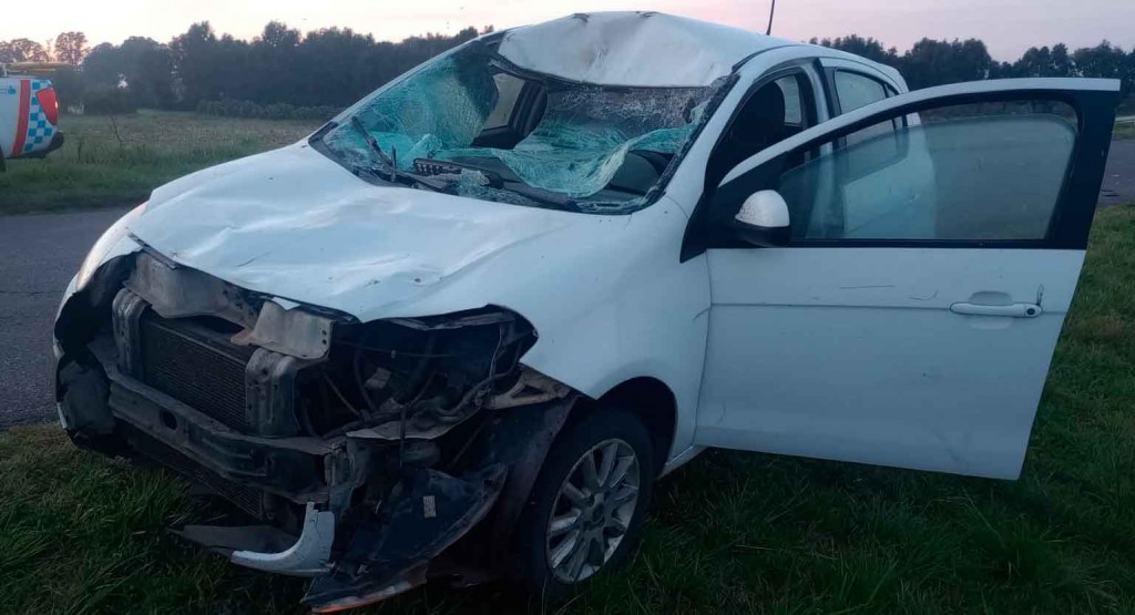 Acceso Pedro Barnetche: Una conductora que transitaba a bordo de su vehículo, impactó con un equino sobre la ruta