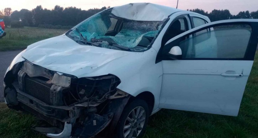 Acceso Pedro Barnetche: Una conductora que transitaba a bordo de su vehículo, impactó con un equino sobre la ruta