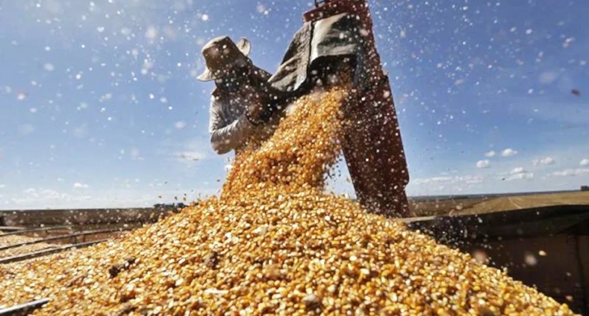 Malestar por el fin de las retenciones: 