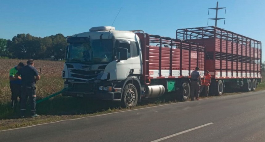 Dos camiones colisionaron en ruta 65