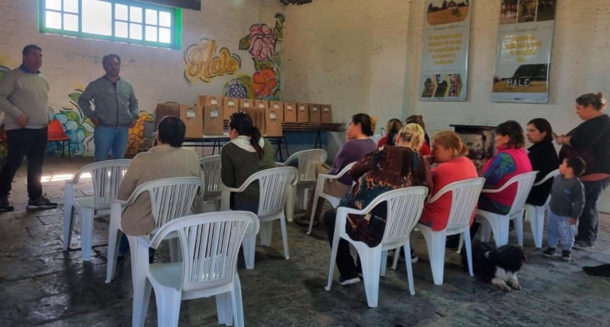 Huertas Familiares: El programa que impulsa el Director de la Producci&oacute;n Javier Fern&aacute;ndez, ya est&aacute; en Hale