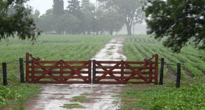 Con registros que van de 65 hasta 115 milímetros, se dio la lluvia esperada  después de tantos días