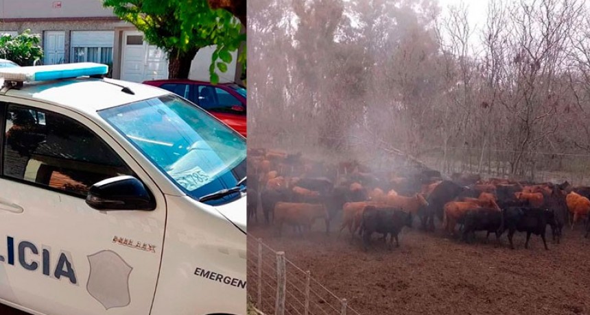 En FM 10 hablamos este miércoles con Silvio Biondini, uno de los propietarios de la hacienda robada en un campo de Bolívar