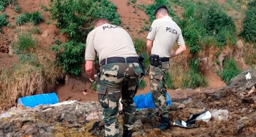 Abigeato Agravado ocurrido en Ibarra: Continúan los avances en la investigación