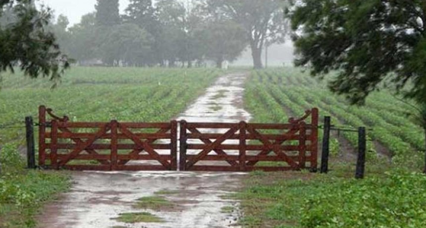 LLegó la lluvia tan esperada