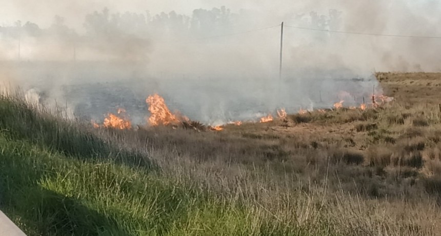 Ruta 226: Un voraz incendio en banquinas y pastos naturales de campos cercanos, forzó el corte del tránsito