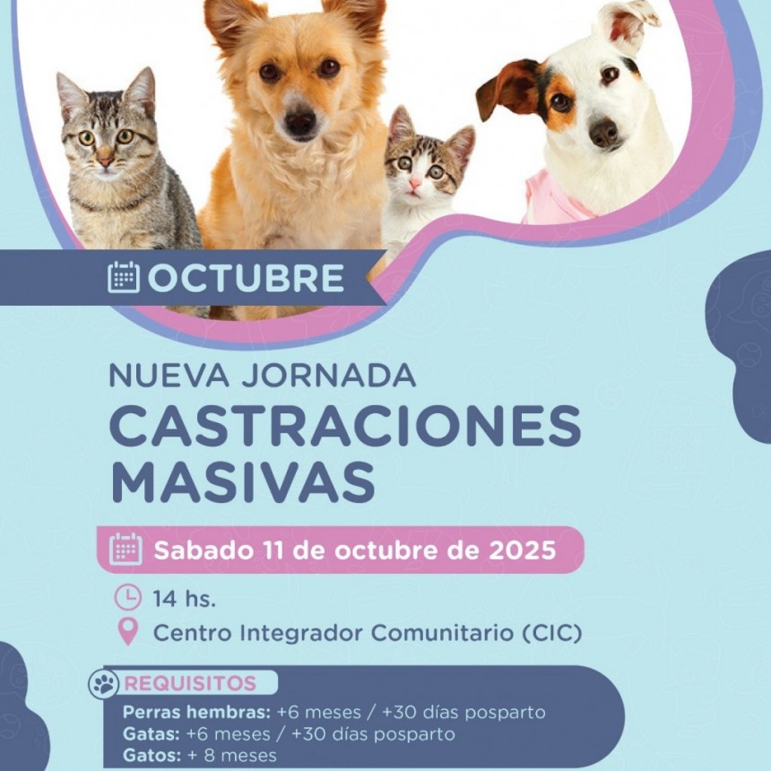 Zoonosis y SAPAAB realizarán una nueva jornada de Castración Masiva