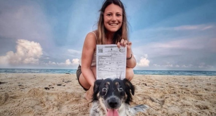 Cómo acceder en un clic al trámite digital para trasladarse con mascotas al exterior