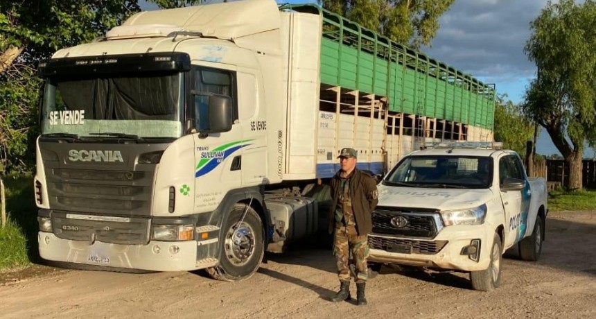 Informe Oficial Comando de Prevención Rural Bolívar: Interceptaron y secuestraron un camión cargado de hacienda con anomalía en la documentación