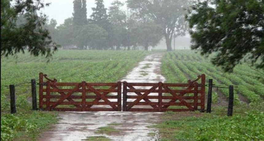 Lluvias que variaron desde 10 hasta 70 milímetros en toda la zona. Se acumulan 916 milímetros en el año
