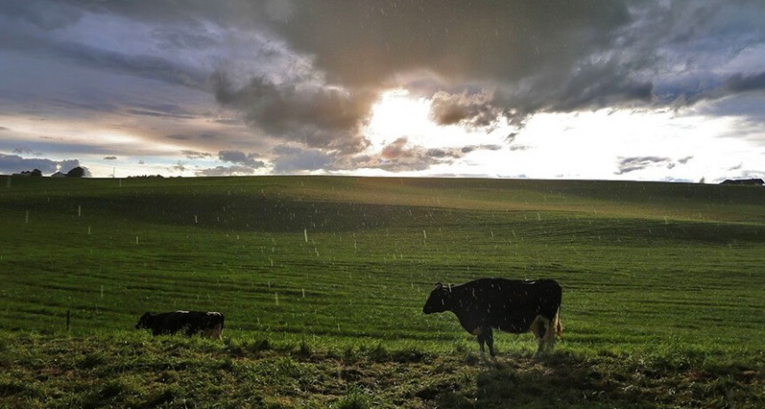Lluvias con registros regulares este martes