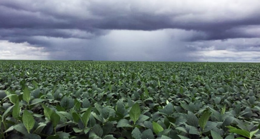 Registros que oscilan entre 25 y 45 milímetros durante lunes ymartes