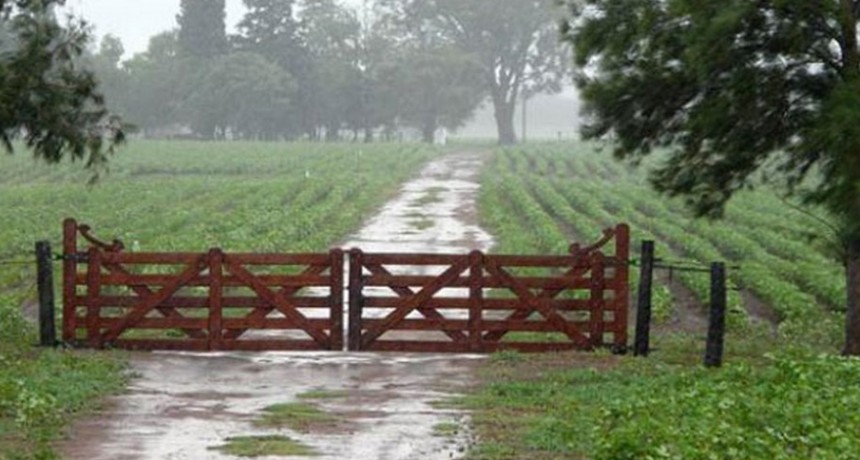 Registros actualizados con el más alto de 103 milímetros  en Escuela n°36