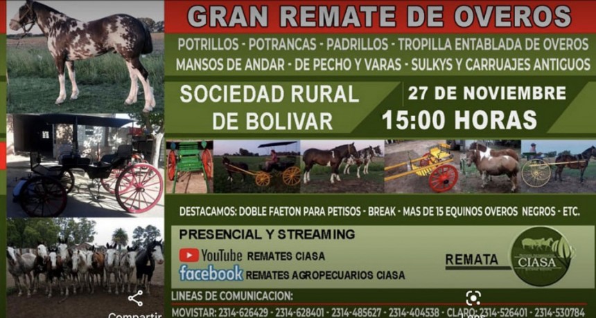 Gran remate de equinos y carruajes el pr&oacute;ximo s&aacute;bado 27 de noviembre en la Sociedad Rural de Bol&iacute;var