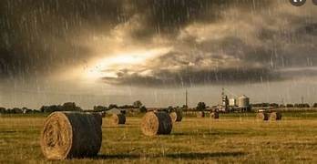 Lluvias en tres tandas en el partido de Bolívar, con mínimos de 20 y máximos de 110 milímetros