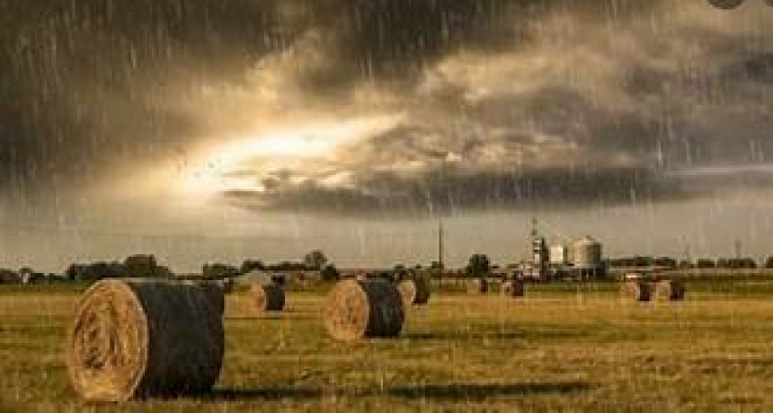 Lluvias en tres tandas en el partido de Bolívar, con mínimos de 20 y máximos de 110 milímetros