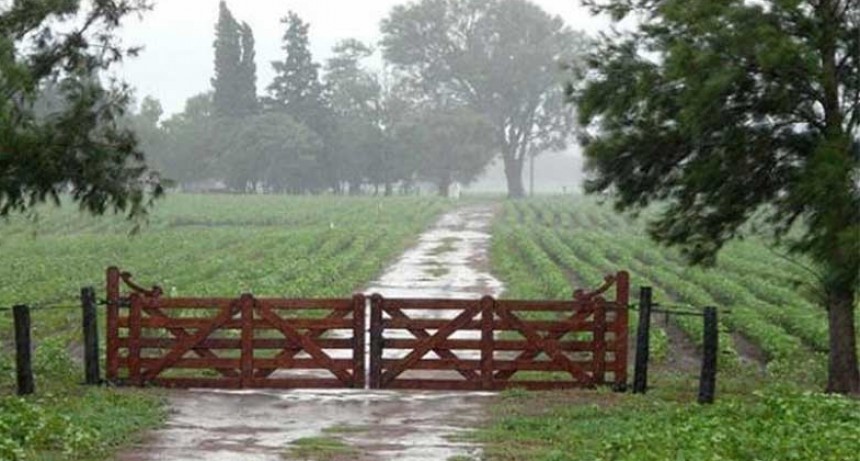 Lluvias desde 15 hasta 30 milímetros en el Partido de Bolívar