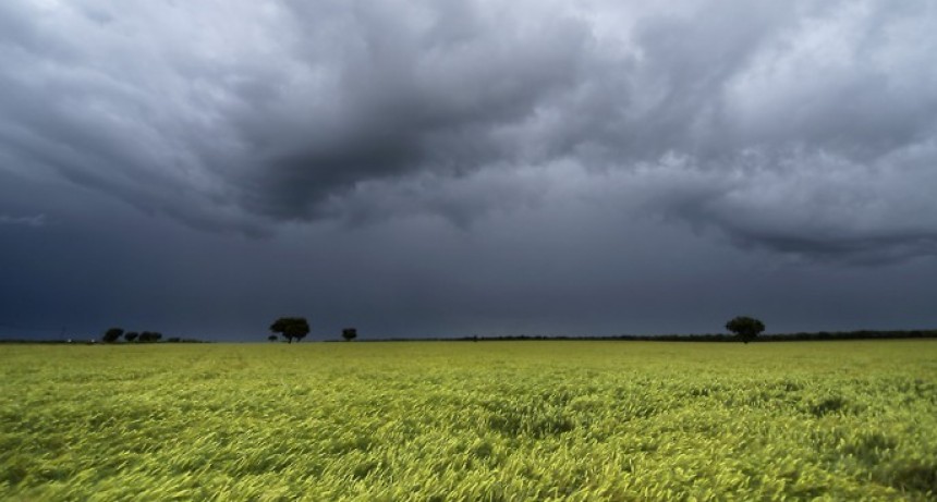 Lluvias en la zona: hubo registros que oscilaron entre los 10 y 30 milímetros