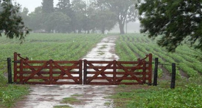Se dieron lluvias que van desde los 20 hasta los 50 mil&iacute;metros en el partido de Bol&iacute;var