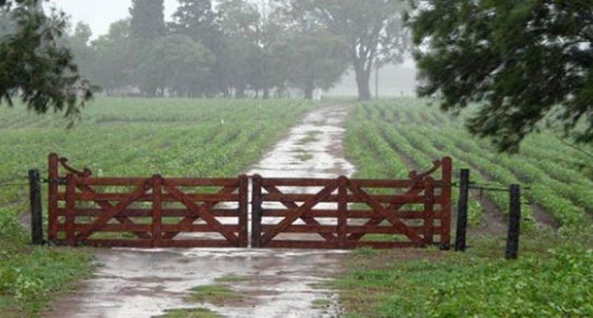 La lluvia en planta urbana fue de 21 milímetros, en cambio en la zona rural se dieron registros variables