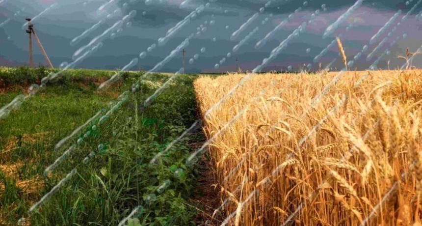 Registros parciales que envían los oyentes de FM 10 y Radio Urdampilleta