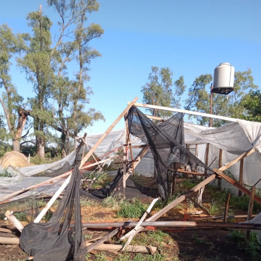 Cultivos Donkito sufrió las consecuencias de la tormenta