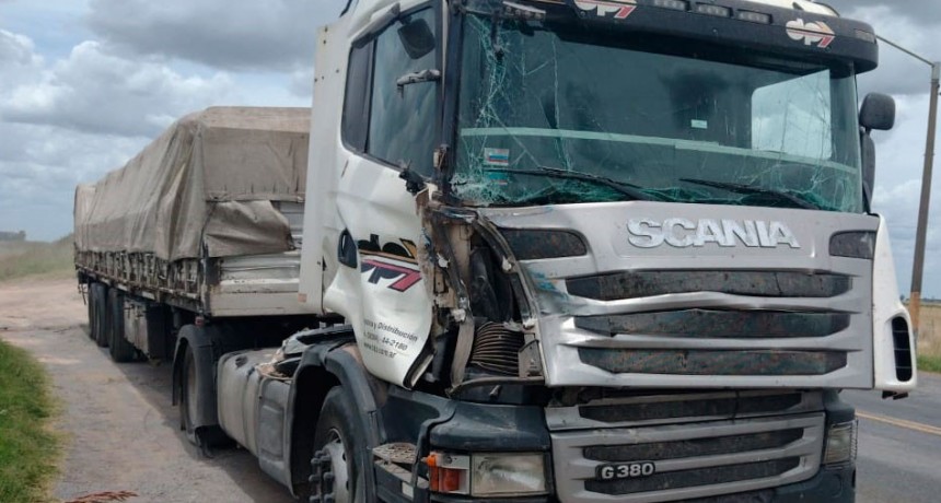 Bajada a Espigas: Dos camiones protagonizaron una colisión leve