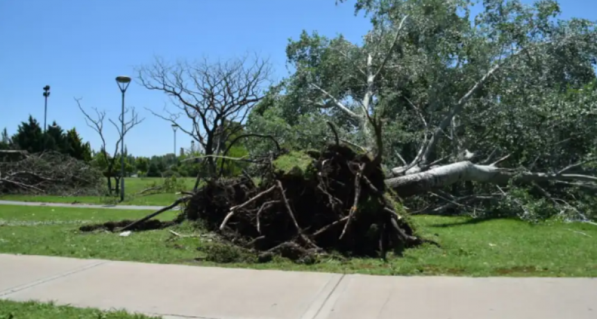 Temporal en Olavarría: descartan que haya sido un tornado